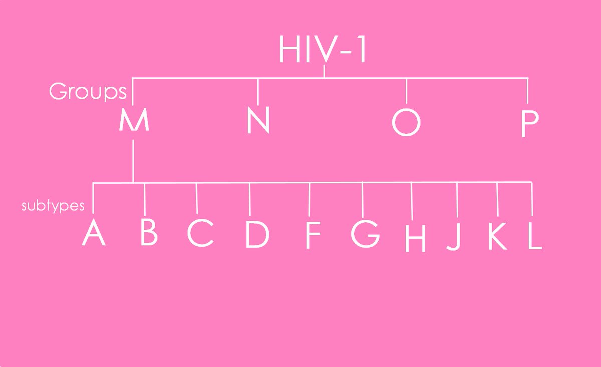 Bukan setakat dua jenis utama itu sahaja, HIV-1 (Major / kumpulan M) ada 12 subjenis seperti berikut: Subjenis A, B, C, D, E, F, G, H, I, J, K, L. Selain itu, ada kumpulan HIV-1 lain iaitu kumpulan N, O & P.