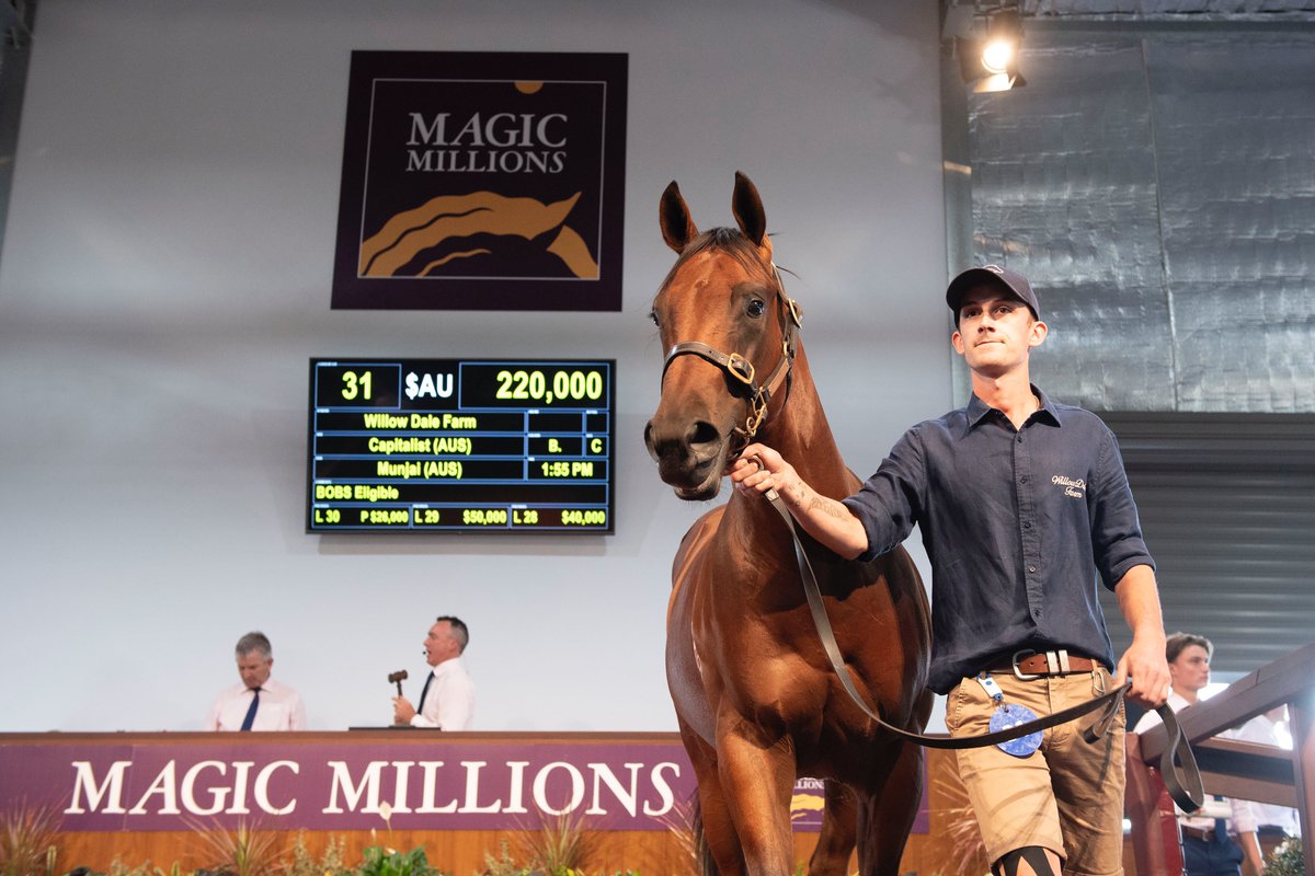 mmsnippets's tweet photo. Lot 31 - the Capitalist colt from Munjai sold to @LSmithRacing for $220,000 at the Perth Yearling Sale. The colt was offered as part of the @farm_dale draft. 
#WestIsBest #MMWA21 https://t.co/WBWsBUJReB