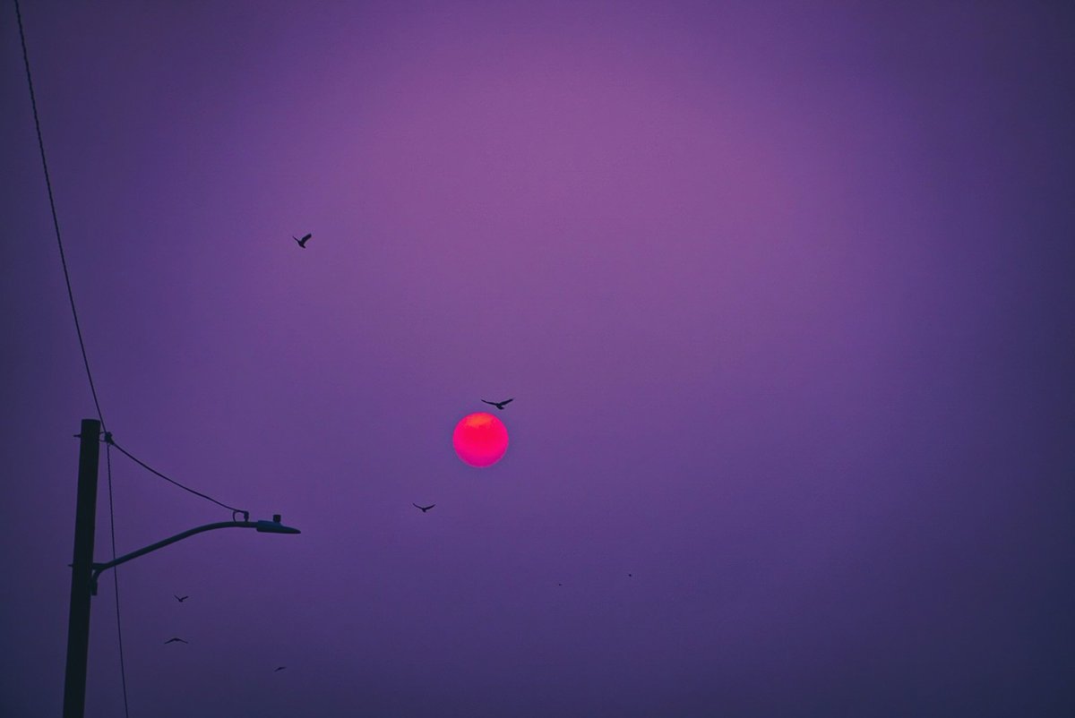 NationVisionary's tweet photo. “ That’s Itachi  “ - @Illestejayy 

#itachi #vibe #crows #photography #photographer #val2dapal #visionarynation #photooftheday https://t.co/GnLhWUUJid