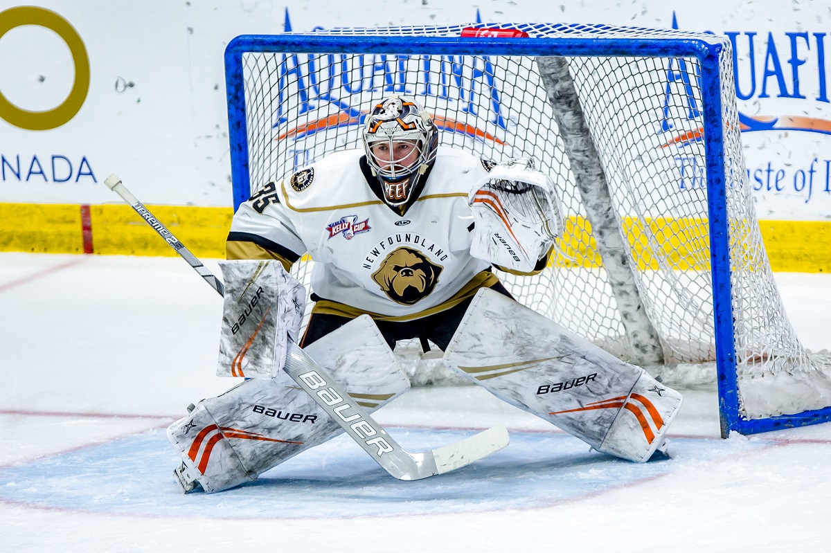 Silverbacks alum Angus Redmond always ready for the call

👤 | Riley Fonger (@rileyfonger) 
📰 | bchlnetwork.ca/silverbacks-al… 

#BCHLNetwork #AHL #BCHL #ECHL #NHL #PJHL