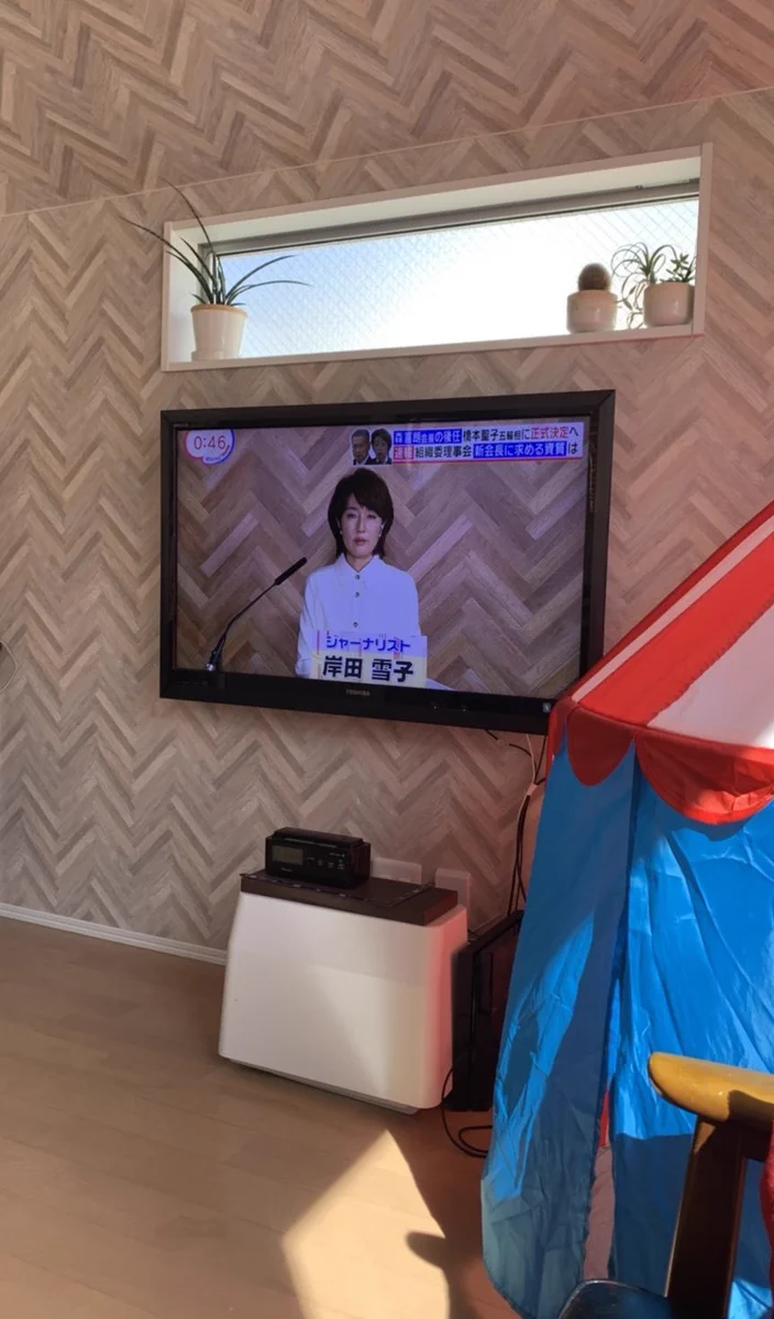 ちょっとした奇跡？テレビに映る背景と家の壁の模様が一緒www