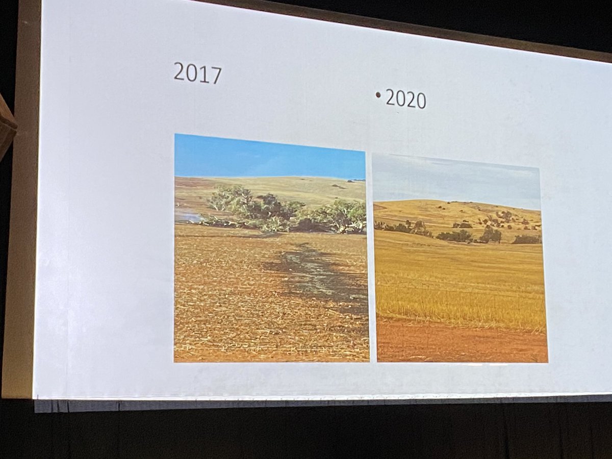 Kat_Allen_NRM's tweet image. Addressing the system, instead of one issue. Sharing about our partnerhip project in the Chapman Catchment with Tierra Australia, MWDC and DPIRD #midwestsummit