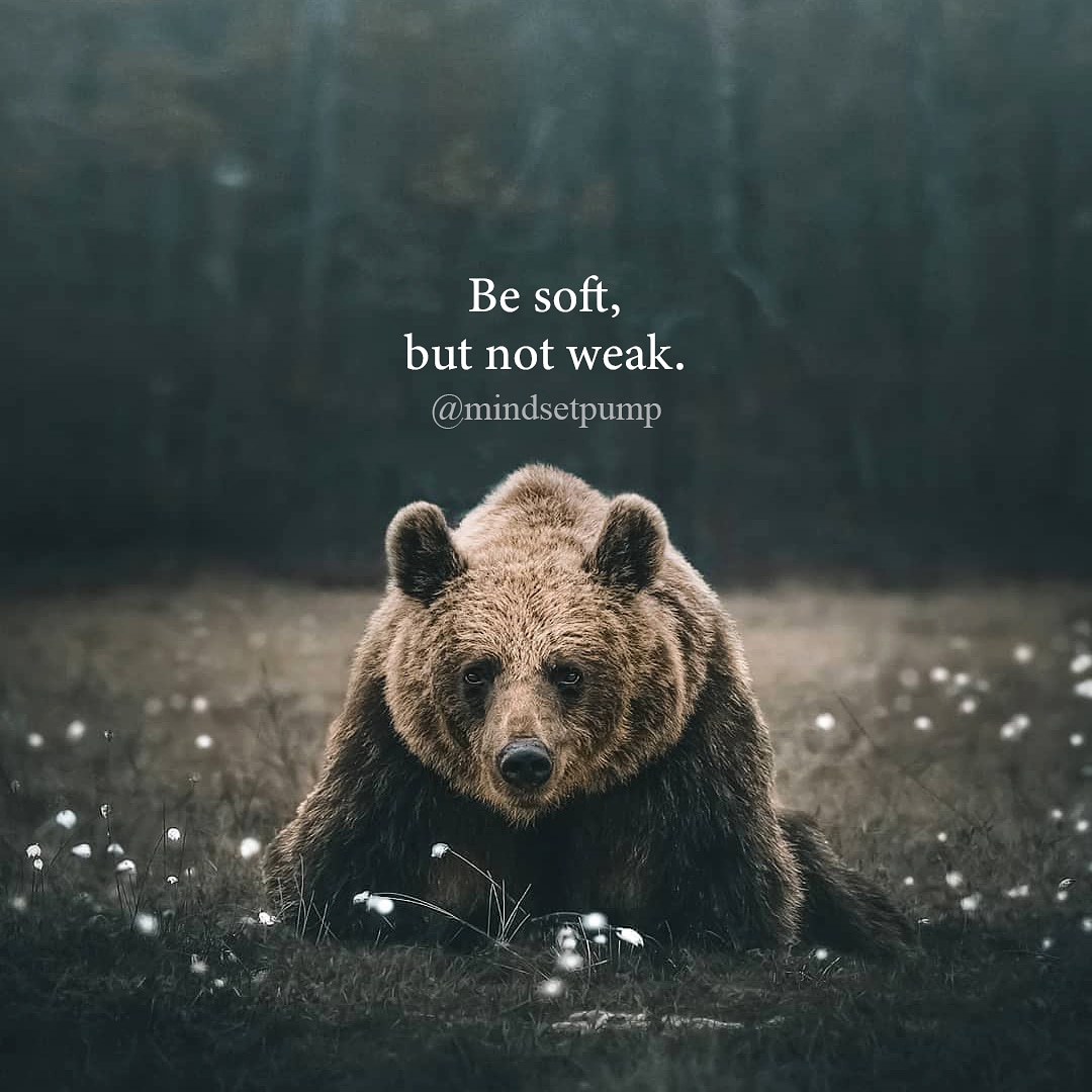 MindsetPump's tweet image. Some Thursday motivation. #tbt #quotesoftheday #MotivationalQuotes