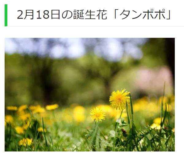藤峰ありさ ミスブーケハワイ Rtヘルプ 9 11 10 10 10 12 11 7 Rt希望 今日の誕生花 2月18日 タンポポ 愛の神託 神託 真心の愛 別離 Missbouquet ミクチャ 誕生花 花言葉 花 誕生日 おめでとう 拡散希望 拡散希望rt 藤峰ありさ ミスブーケハワイ Rtヘルプ 9 11 10 10 10 12 11 7 Rt希望 今日の誕生花 2月18日 タンポポ 愛の神託 神託 真心の愛 別離 Missbouquet ミクチャ 誕生花 花言葉 花 誕生日 おめでとう 拡散希望 拡散希望rt