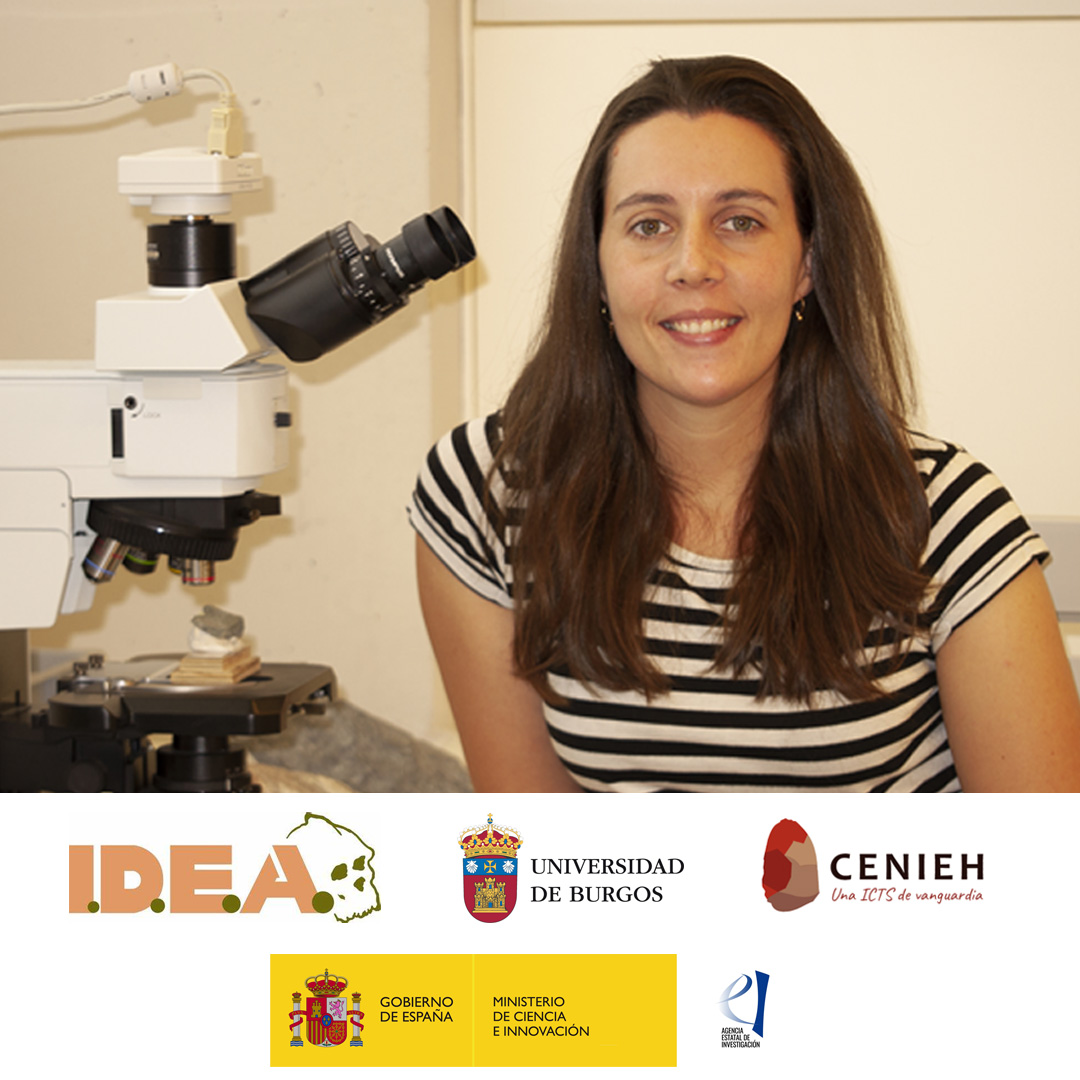 IDEAolduvai's tweet photo. Our tweets are usually about the modifications on bone surfaces. But what about the traces found on stone tools? Dr. Patricia Bello did a use-wear analysis of the lithics from the Acheulian site TK (Olduvai) for her doctoral dissertation. Here is what she did and what she found: https://t.co/GubKTelrlk