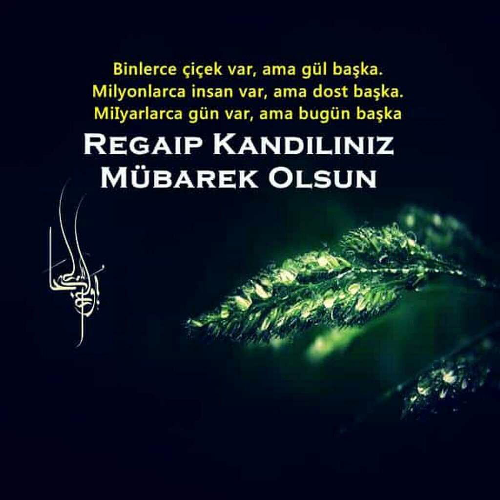 🇹🇷 ÖZCAN 🇹🇷 (@zcan94313493) on Twitter photo 