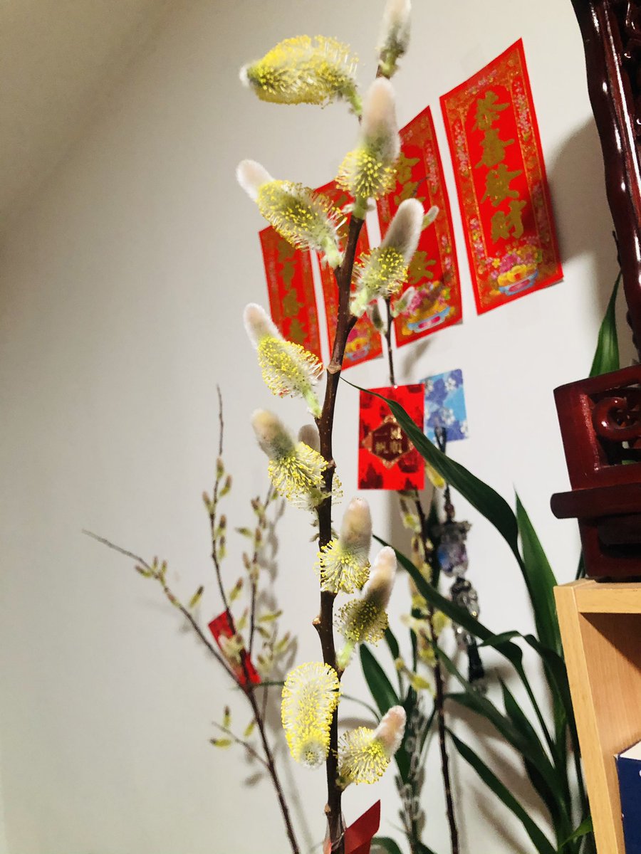 IveneZeng's tweet photo. https://t.co/JNbMnVVhfb