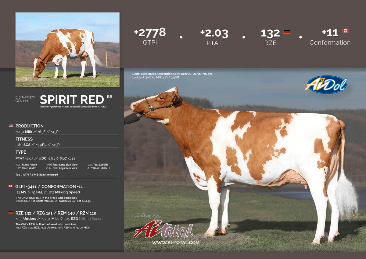 New in the AI Total line up. An Absolute Star In Red &amp; White.