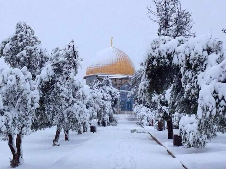 Rana_rana44's tweet photo. أشتي ايتها السماء واخرجي مابك من الماء🌧️⁩..وفرشي الأرض بثلج الابيض ولكن ليس ع الأرض والشجر بل ع قلوب البشر اشتي كي تعود القلوب كما كانت في الصغر لاحقد ولاكراهيه ولاضجر.. أنزلي الماء والثلج ⁦رحمات من رب البشر...اللهم صيبا نافعا⁦.
صباحكم ورد باالبرد والثلج🌹🌹💜 https://t.co/dPQnNzZLcv