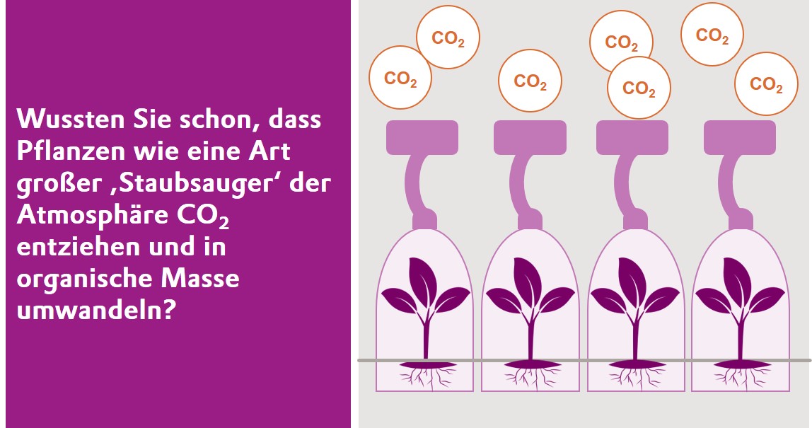 SepuranMembrane's tweet photo. Did you know about the superpower of plants? #capturingco2 #photosynthesis #gogreen #sepurangreen #biomethane #fuelsofthefuture #biolng https://t.co/b91xLO8Ai9