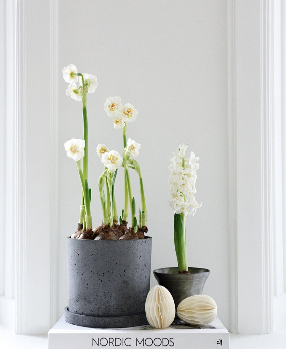 DELIGHTtweet's tweet photo. S P R I N G • after days, weeks and months of cozy cocooning we start seeing signs of spring 🤍 we have added the first SS21 paper pretties to our collection and can’t wait to kick off a spring &amp; summer. Let the sunshine in!  #EasyandJoyful https://t.co/C9WTnjAHqn