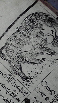 毛深い獏だ 