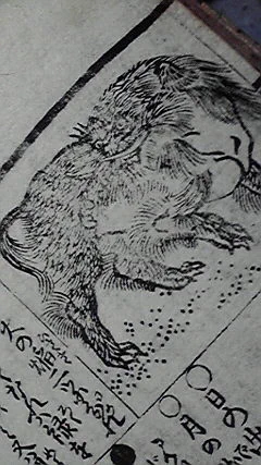 毛深い獏だ 