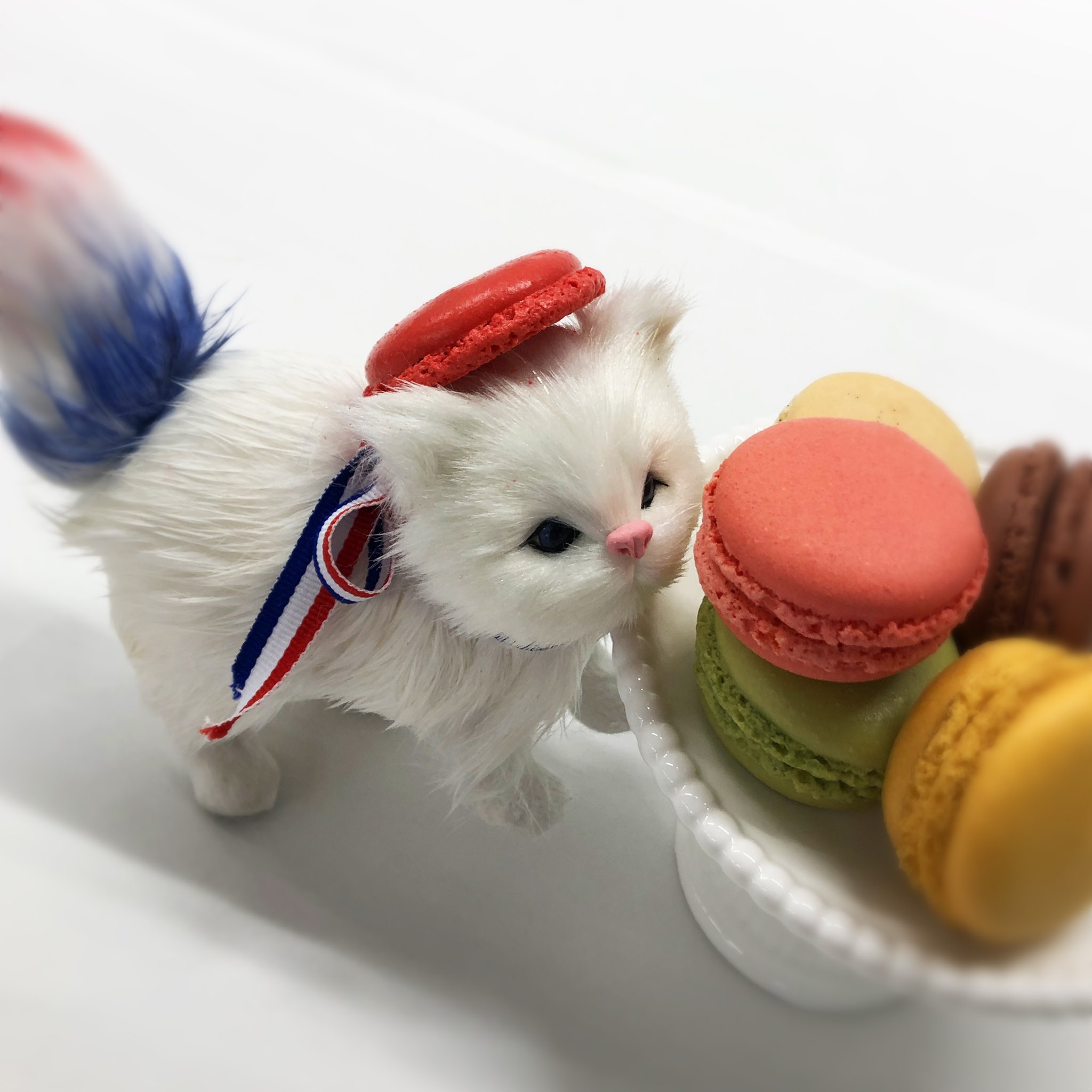 تويتر ダロワイヨジャポン公式 على تويتر 猫の日フェア 2月22日は猫 の日 あまりのかわいさに 思わずパケ買いをしたくなる オリジナルデザインの猫イラスト入りバッグ箱は定番のマカロン5個入りです かわいすぎて食べるのが惜しいくらいの猫プリント入り