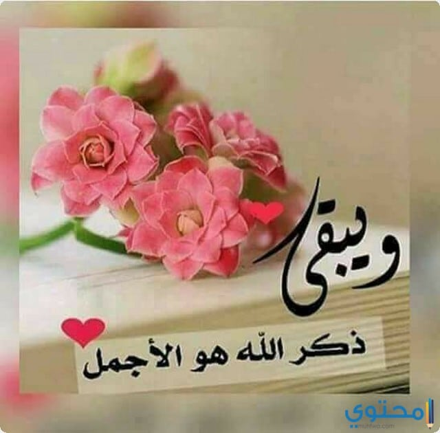 nayefalslayem's tweet photo. صباح الخير وصباح الزائر الابيض.... الذي زارنا بعد أن قنطنا وظننا اننا لن نمطر .....اغسلوا قلوبكم بحب الله والخير للناس ....صباح الورد للجميع؟ https://t.co/JHK1UQCj9g