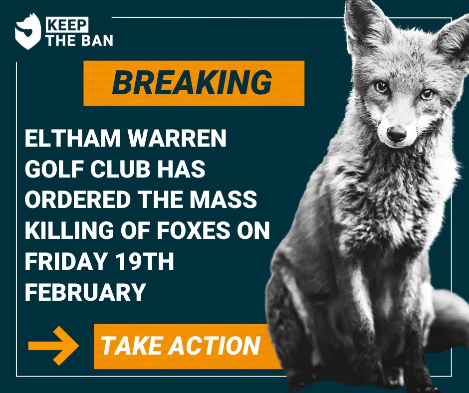 0208 850 4477 (option 1)
SECRETARY@ELTHAMWARRENGOLFCLUB.CO.UK
BEXLEY ROAD, ELTHAM, LONDON SE9 2PE
x.com/elthamwarrengc
facebook.com/elthamwarrengo…