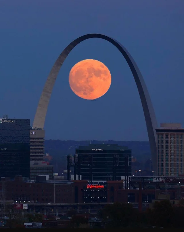 ive never read uzumaki