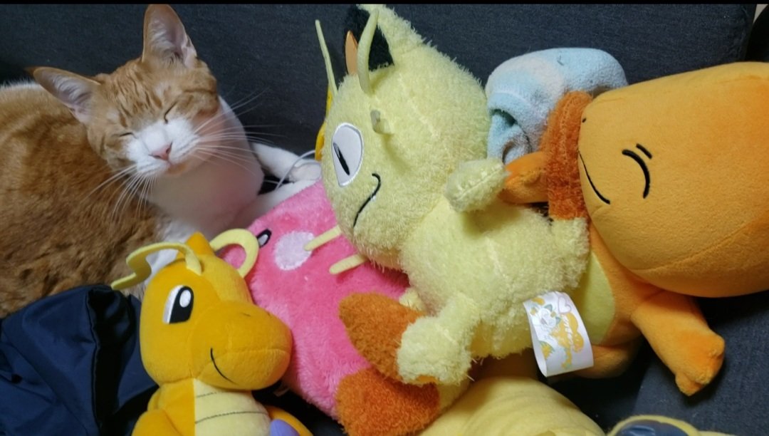 ポケモンなりきりさんと繋がりたい