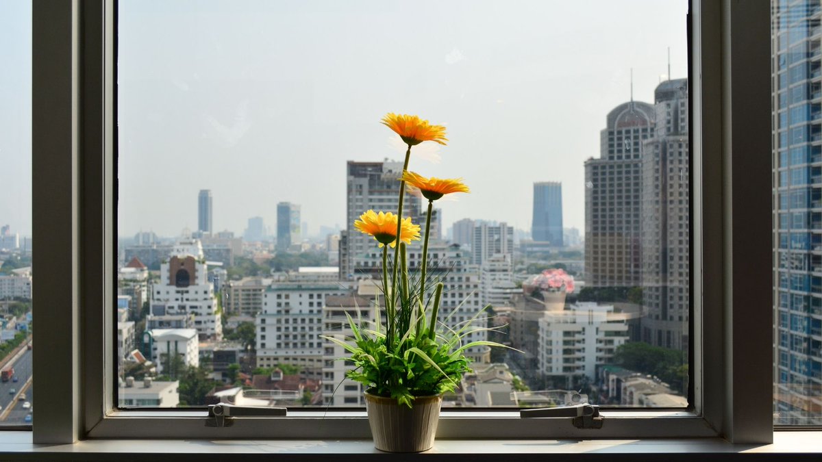 Are your shop windows sparkling clean? 

Let's take a closer look: ow.ly/XApU50CTVWq

#feedback #reviews #employeeexperience #employeejourney #talentattraction #talentacquisition #executivesearch