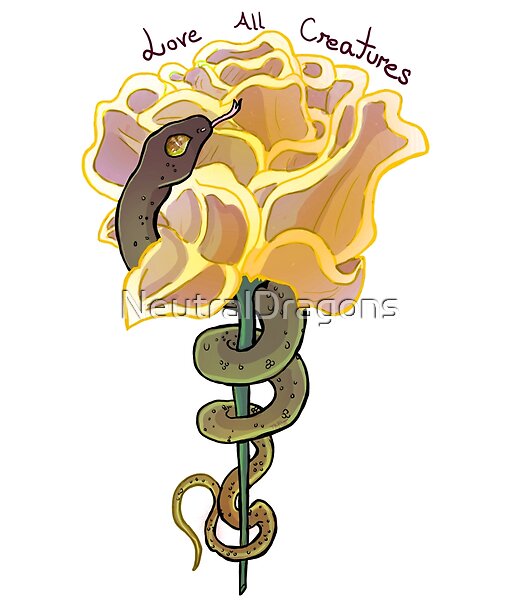 A design series I am working on! available on stickers, tshirts and much more!
redbubble.com/people/Neutral…
#artwork #redbubbleshop #shop #originalart #loveallcreatures #snake #enchantedrose #ArtistOnTwitter #artshare