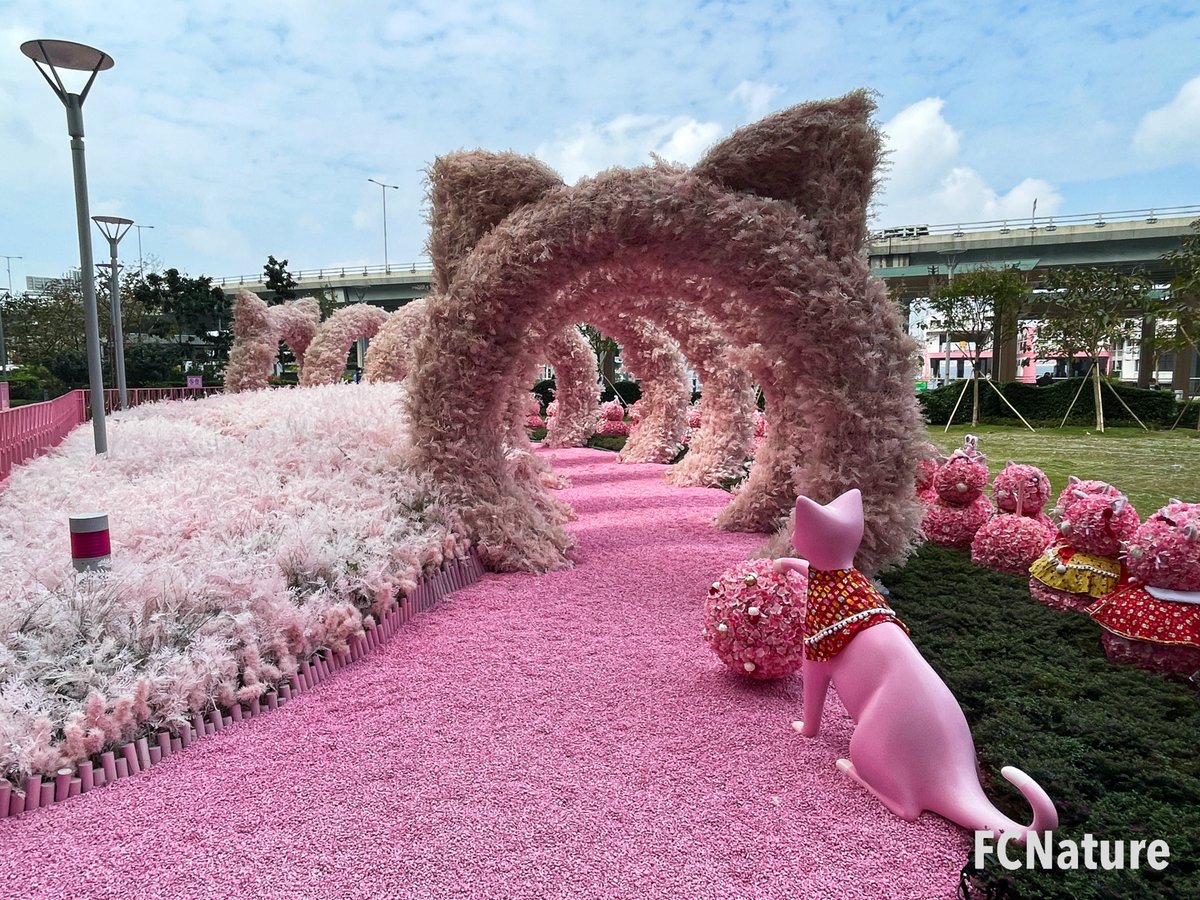 FCNature's tweet photo. Until the end of Feb, there is CATART by Shu Yamamoto Hong Kong in Harbour North. It exhibits different world class master pieces with cat characters.
#harbournorth #catart #exhibition #cats
#cityexplore #citylife #FCNature #FCNaturesports #explore #holiday #weekend #hongkong https://t.co/ppJAYLhUDm