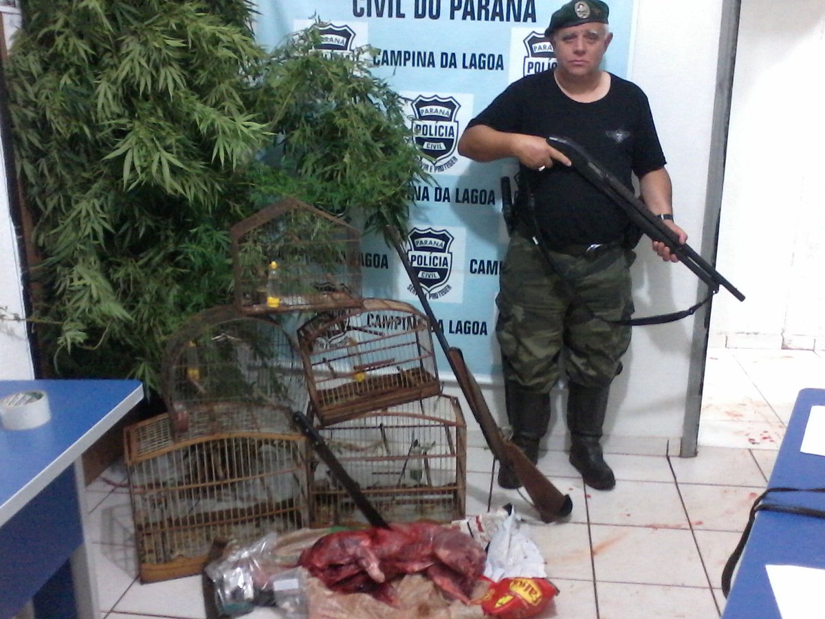 Unknown heroes of Brazil's War on Drugs: Paraná Civil Police Delegado Bradock
