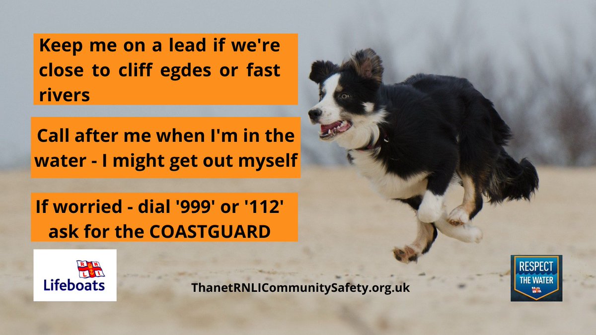 Do you love coastal walks with your four legged friend🐶?  Do you know what to do in an emergency situation?  Why not grab a coastal safety refresher today by going to our link below⤵️⤵️

thanetrnlicommunitysafety.org.uk/how-to-have-a-…

#dogsoftwitter #thursdaymorning #COVID19