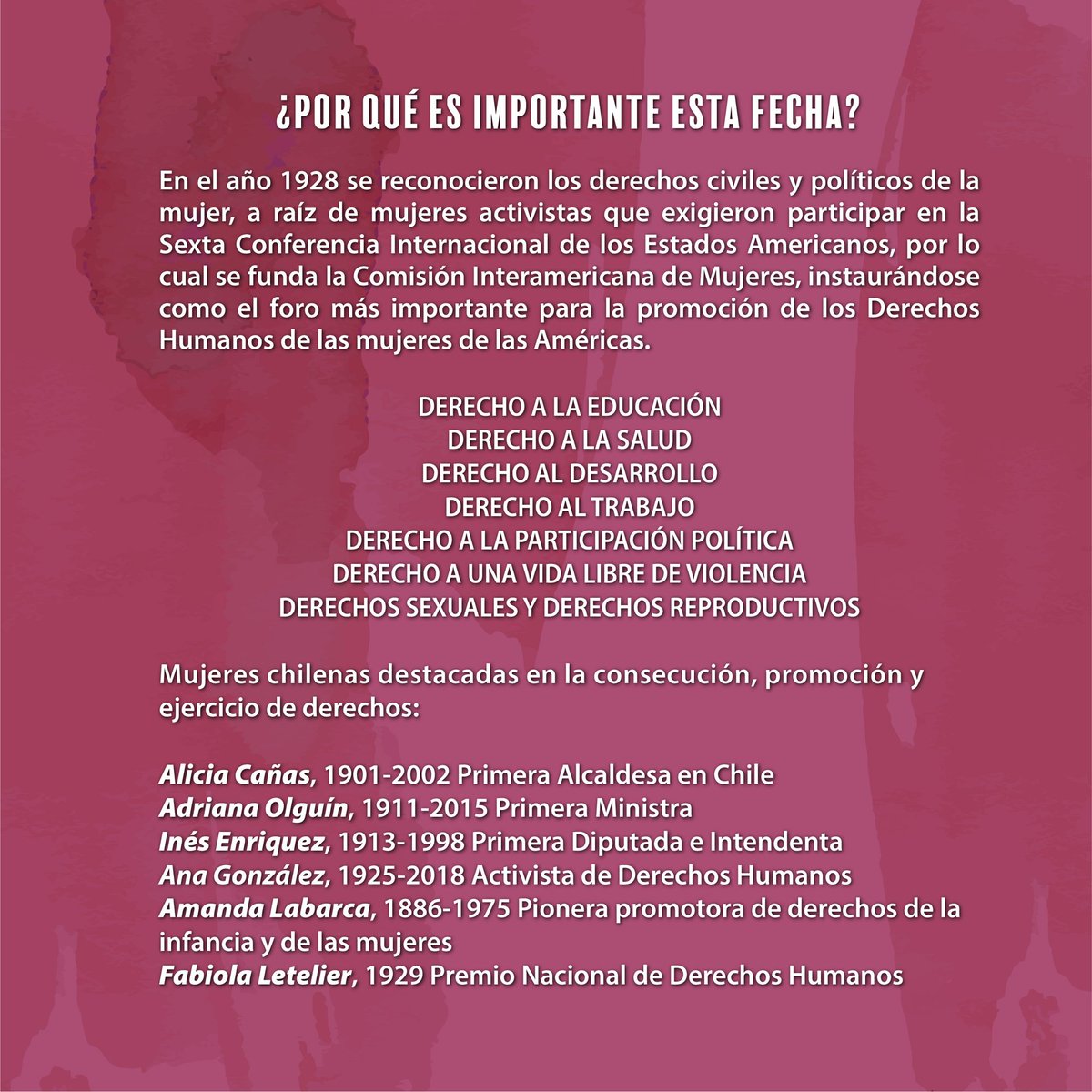 munilaserena's tweet photo. Hoy conmemoramos el Día Internacional de la Mujer en las Américas, fecha en la cual destacamos el rol de mujeres latinoamericanas que han promovido  el ejercicio de derechos en diversos ámbitos, y que han permitido construir una sociedad más igualitaria e integradora. https://t.co/ZnBZAR00W2
