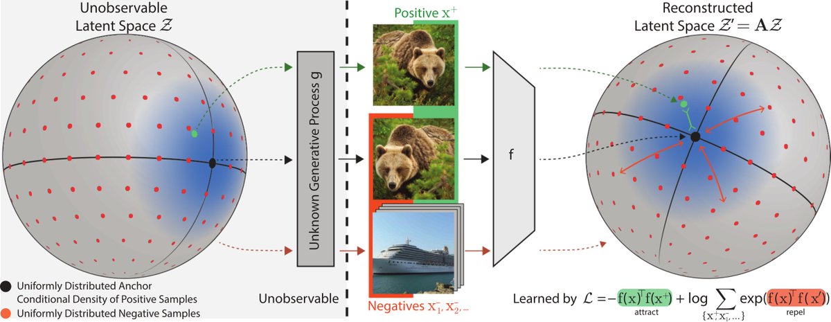 wielandbr's tweet photo. Why is contrastive representation learning so useful? Our latest work shows that contrastive learning can invert the data generating process, and it paves the way towards more effective contrastive losses.
Paper: https://t.co/uhVkSTDuP7
Website/Code: https://t.co/lzaLdT7n6t
[1/5] https://t.co/MZuxpwen27