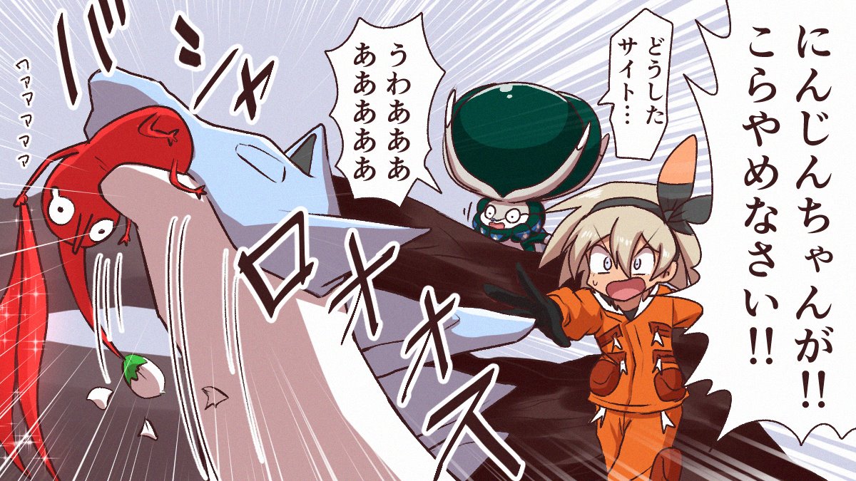 今日のサイトウちゃん 