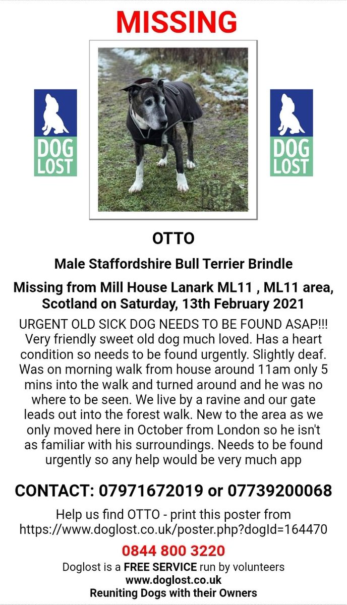 MissingPetsGB's tweet photo. UPDATE 18/02/21: POSSIBLE
SIGHTING OF OTTO - ALEXANDRA PARK on the outskirts of #Glasgow. Is anyone is available to search the area? Need to confirm whether it is him or possibly Bella, another dog who is missing and needs to return home. Please contact @imogenwalker https://t.co/yn7rpa8iAv