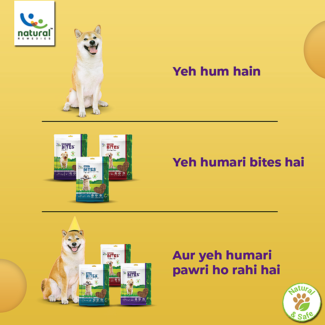 pet_remedies's tweet photo. With such healthy and tasty soft chews every day is a pawri for your furry loves.
#pawrihoraihai #petloversindia #dogsindia #lovemydoggo #doghealth #naturalpetcareproducts #catloversclub #petbond #Winter #Winterishere #doglover #dogloversofinstagram #dogsareangels #delhicats https://t.co/QMkzCgXn6J