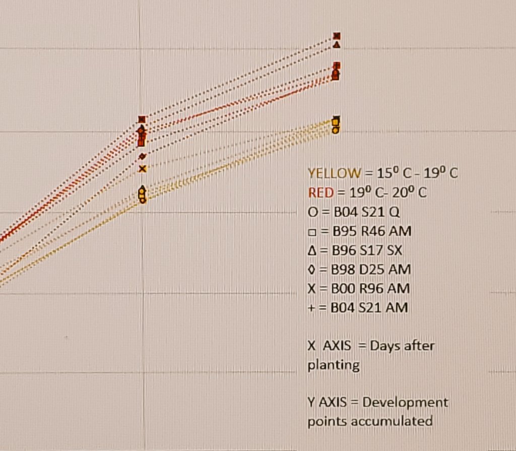 #corn #plant21 <a href="/BrevantSeedsCA/">Brevant seeds Canada</a> <a href="/Drew_Pearson_/">Drew Pearson</a> 
In the great corn race on the red track we have 00 and 96 peeling ahead leaveing the pack behind. And the yellow track is tightening up  almost call anything but the 00 seems to be ahead by a nose.