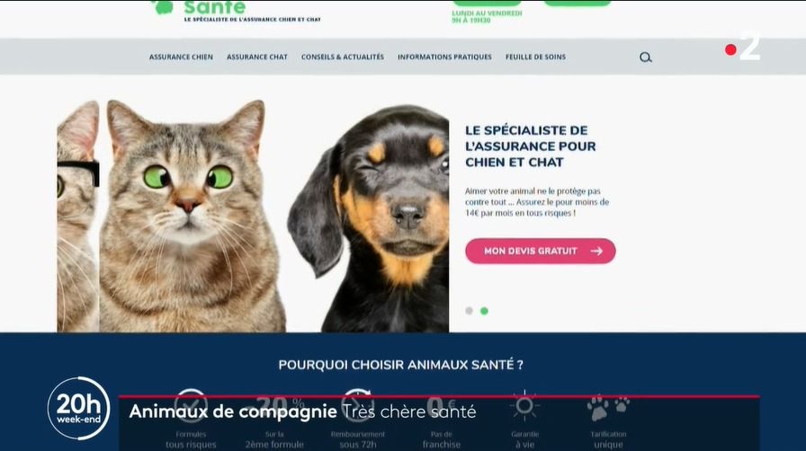 Petit retour en image sur un des JT de France 2 où Animaux Santé, filiale de FINAXY Group était présente.

#primetime #JT #actualités #assurance #animaux