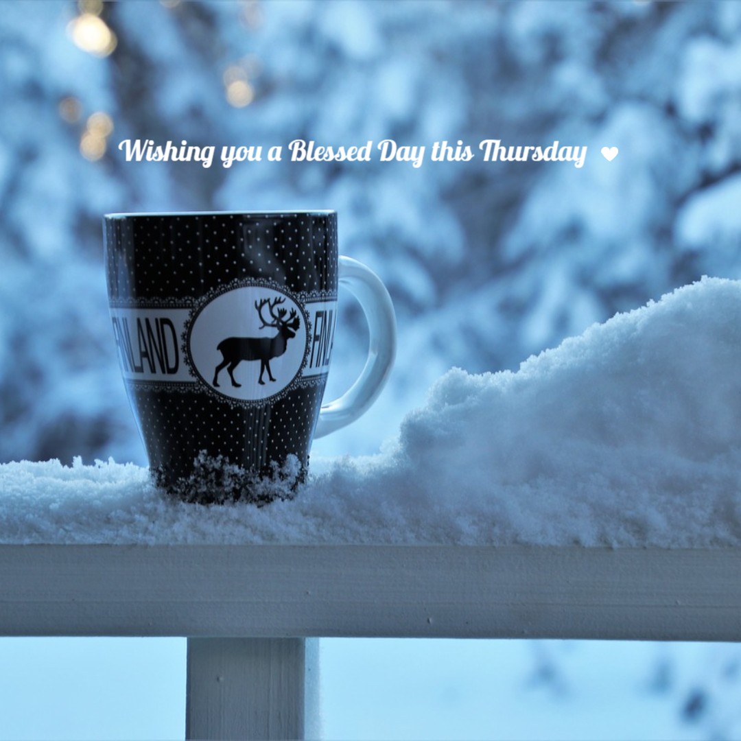 #Plant2021 #Thursday #Canola #Coffee