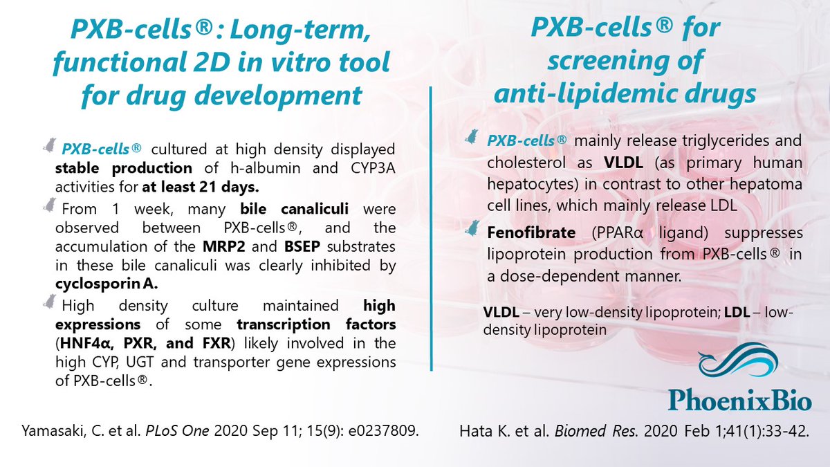 Part I – PXB-cells in 2020 papers. In a few posts, we would like to review the 2020 publications with PXB-cells®. Hata, K. et al. describes lipoprotein profile and lipid metabolism of PXB-cells® Yamasaki, C. et al. is a summary characterizing PXB-cells®. phoenixbio.co.jp/en/news/human-…