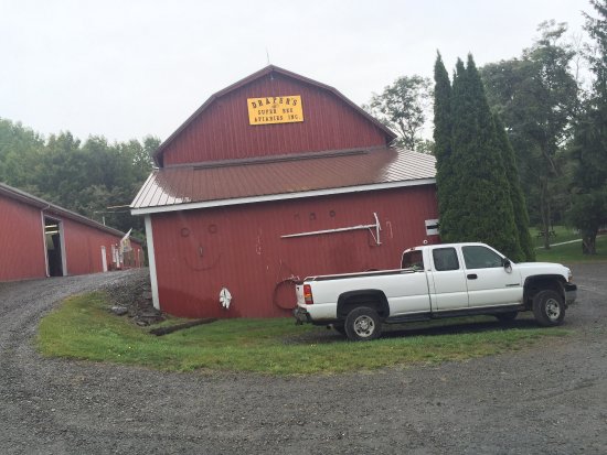 mcc16933's tweet photo. For all your honey needs visit Draper’s Super Bees Apiaries! For more information visit Home | Best Natural &amp; Pure Honey for Sale | Liquid, Raw &amp; Comb Honey. (https://t.co/wicVvqOqmS) or call (570) 537-2381. https://t.co/7OfQuHiTPZ