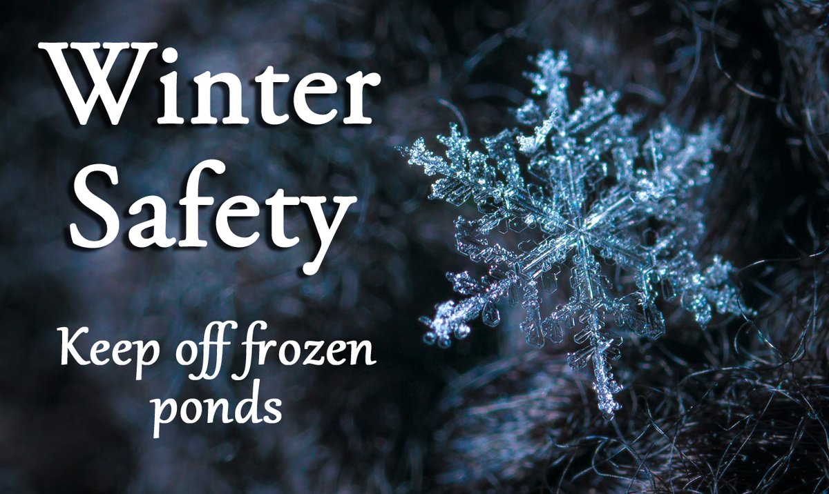 A friendly reminder that it is unsafe to walk or play around the ponds.