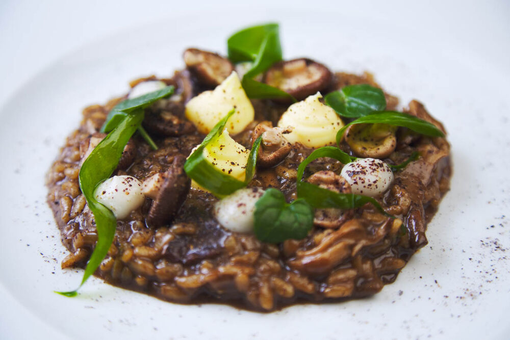 Reminder: We are still open for guests travelling for essential work purposes or compassionate stays.  Did you know? We also provide evening meals for our residents staying with us at <a href="/Greenescork/">Greenes Restaurant</a>   Evening meals must be pre-booked by 12 on the day of arrival. #EssentialWorkers