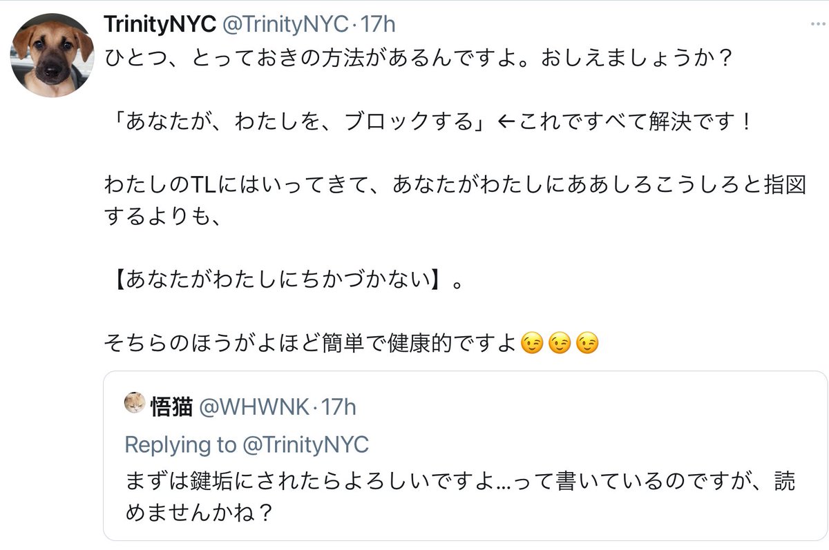 Trinitynyc この人 わたしがブロックした後もまだ しつこく 今度はわたしと会話してる別の方に向かって 私たちの会話のスレッドに割り込んできて 悪態をつき続けてました 不快すぎるのでここでは紹介しないけど 他にも 私に暴言を延々と吐き続け