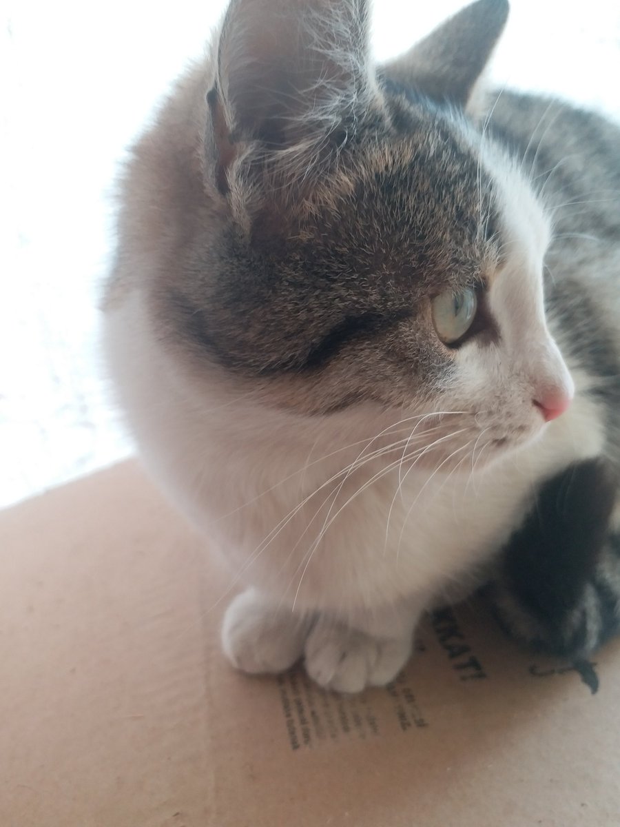 Minnak beneklim üşümüşş😔😔