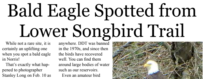 I’d like to quickly introduce you to one of my favorite parts of living in a small town: the local paper. This is the Norris Bulletin (which I used to deliver, of course). First up, we have the above the fold, front page headline.