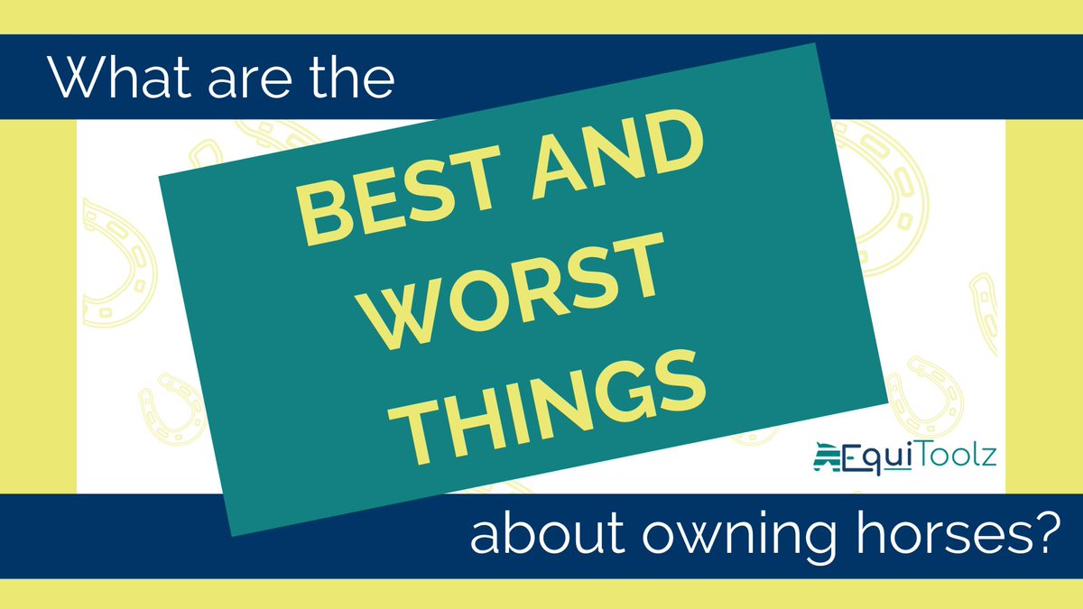 EquiToolz tweet media