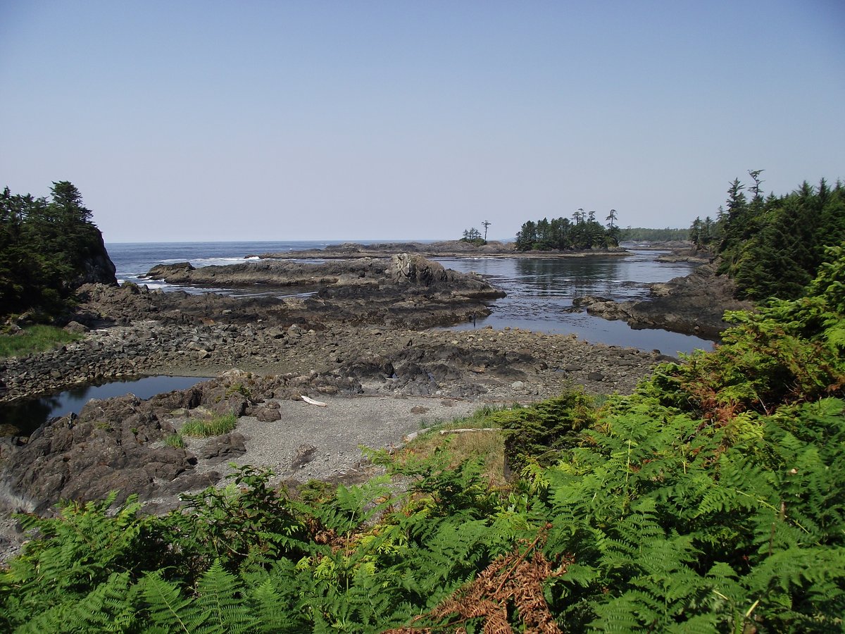 A5: The @wildpacifictrai, Ucluelet, Vancouver Is. Temperate rainforest, great coastline and wildlife, but, storm watching aside, summer would be preferable if we’re allowed to defer. #DCTravChat