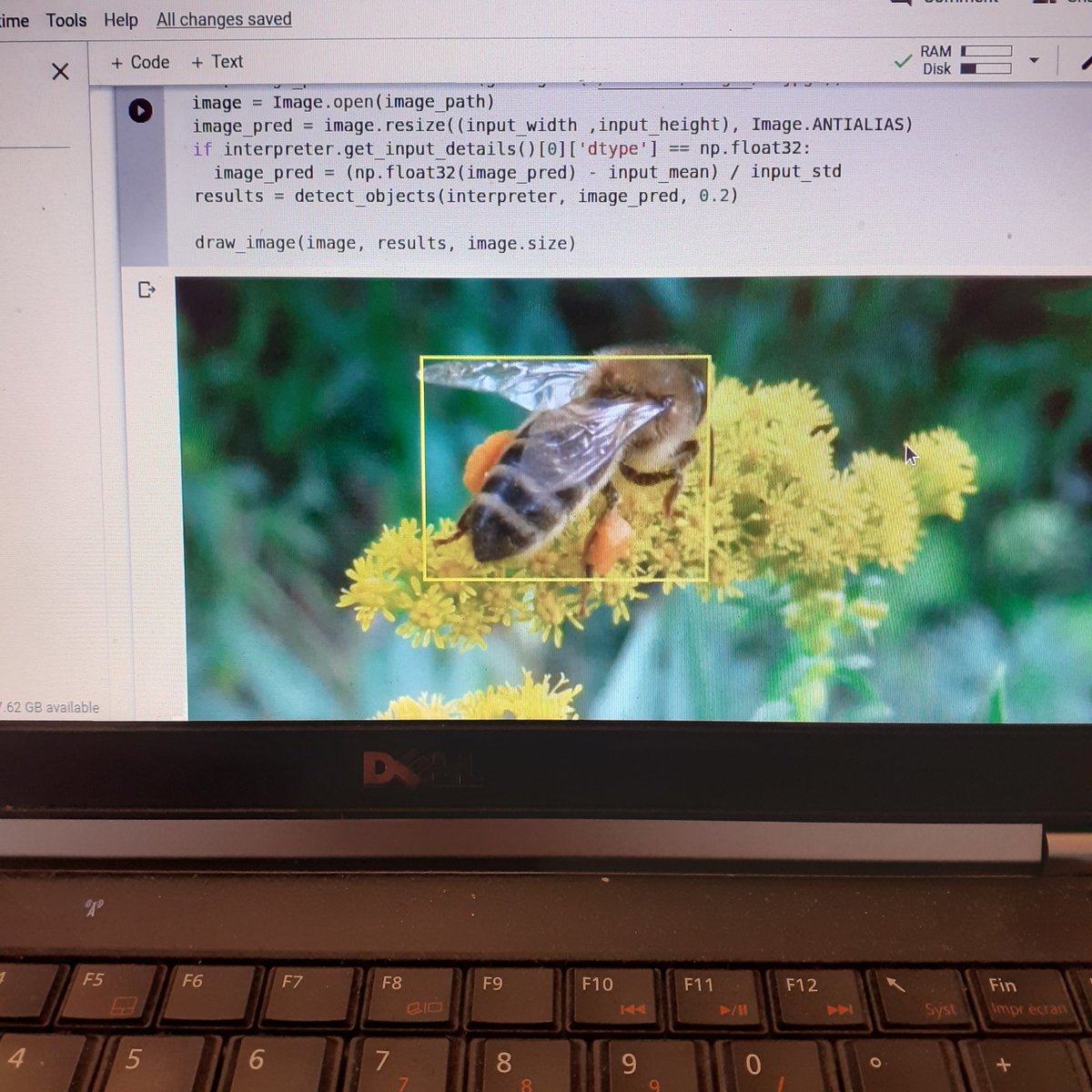 coding4bees's tweet image. #ArtificialIntelIigence for #beekeeping 
#Python #ML