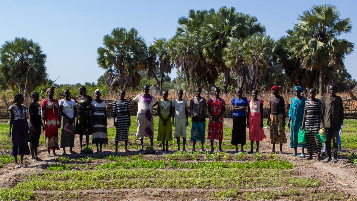FAO in South Sudan tweet media