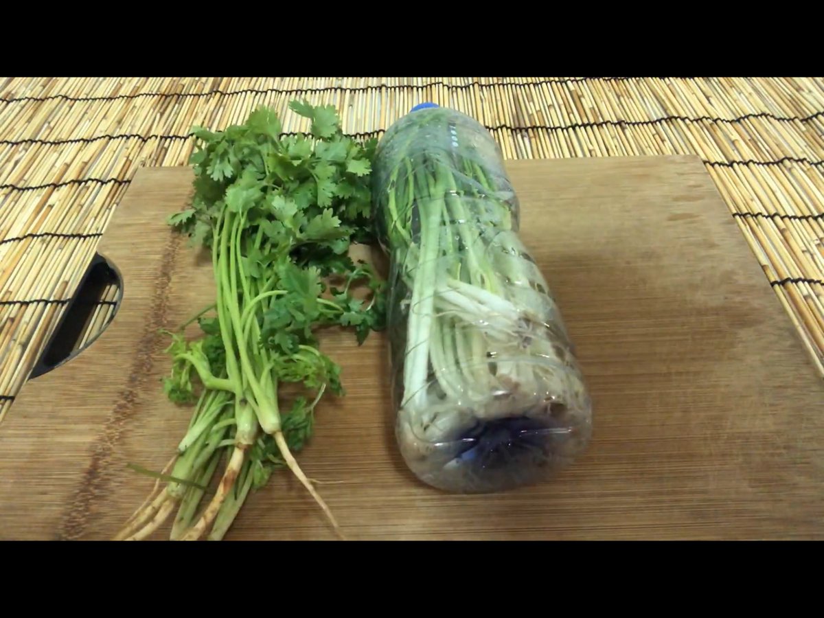 schmoozequeen's tweet photo. How To Store #Coriander โข #SpringOnion Fresh In Refrigerator #ProduceStorage #ProduceHacks #Plantbased #Vegan
https://t.co/chr2PPCcOw
@vegancook101 @CookVeganForMe @TheDietZest @Veganella_ @Hiromi_Akito @TrundlelinB @TenacityMatters @agargmd @plantarian @InspireMe4444 https://t.co/oitsbjlhGa