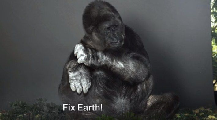 HHMU_Banksia's tweet photo. #Dyk #KoKo's #LastWordsWere <> '#FixEarth'
@jacqui703 @Zoompad @SpectreDetector @H46688622Hawk @lynnpotter11 @gladhill_in
#IDWP<>#IDeclareWorldPeace #Love #Justice #Truth #Kindness #Justice & #Abundance4All
#Animalia
#KoKoReiki<>#KoKoLove
#OpOneLove https://t.co/gFMd3JCK0T