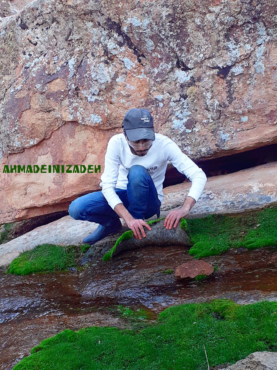 AHMAD_EINIZADEH's tweet photo. In the heart of nature
#ahmadeinizadeh #ibodi #ibodigram #DemiDWTD #DavidoMercyChinwo #ContentCreator #bokepviral #Check #30BG #BYLAC #BigHit #today #top #iran https://t.co/ivvD6O9fMY