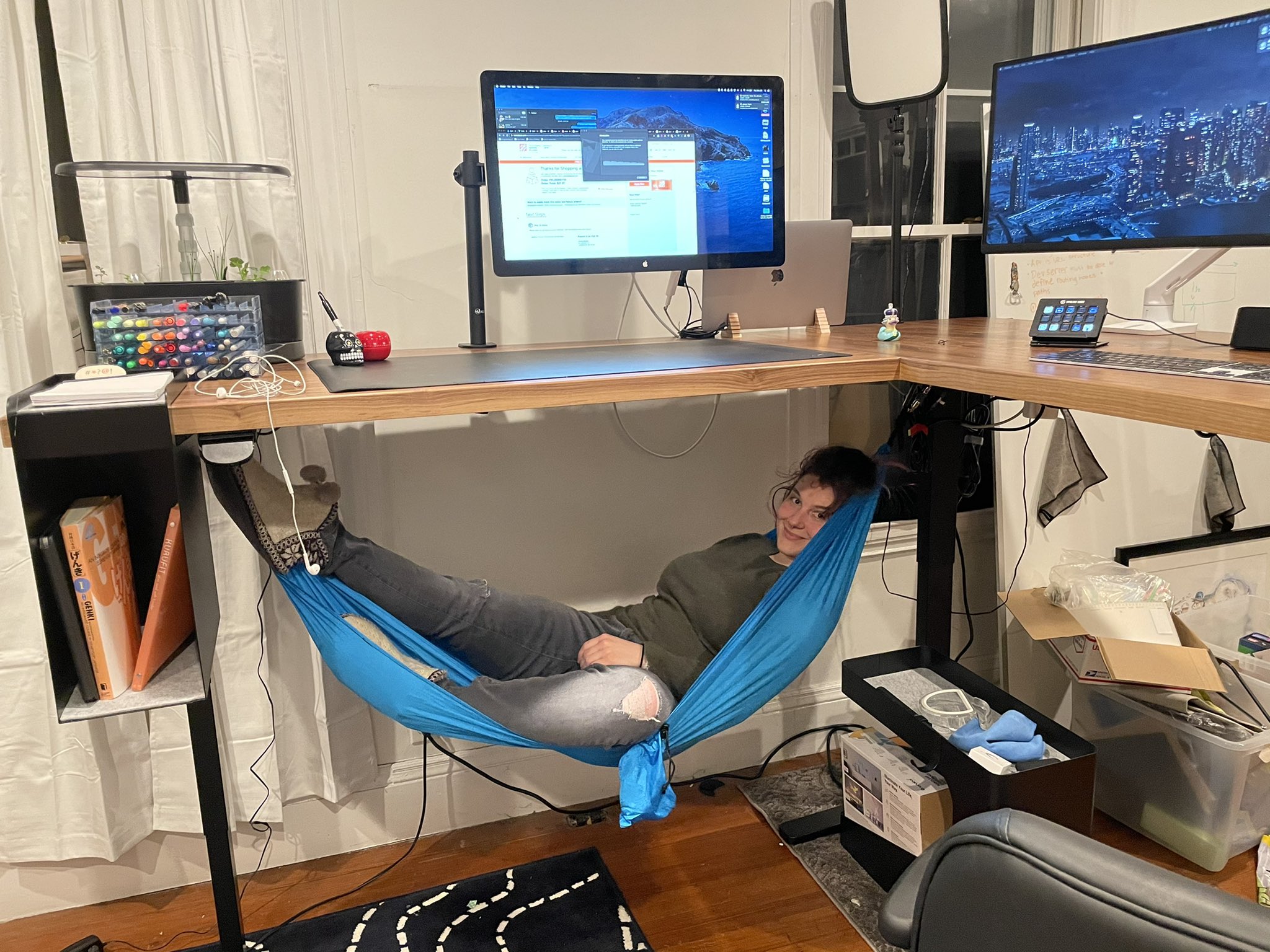 jess on X: Just assembled my standing desk. It came with a hammock.   / X
